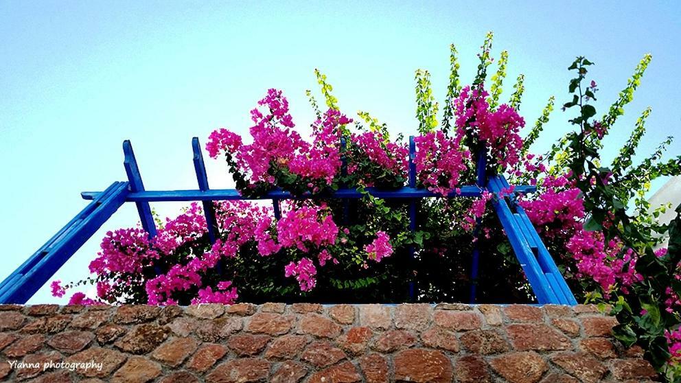 Bougainvillea Suites Kamári 외부 사진